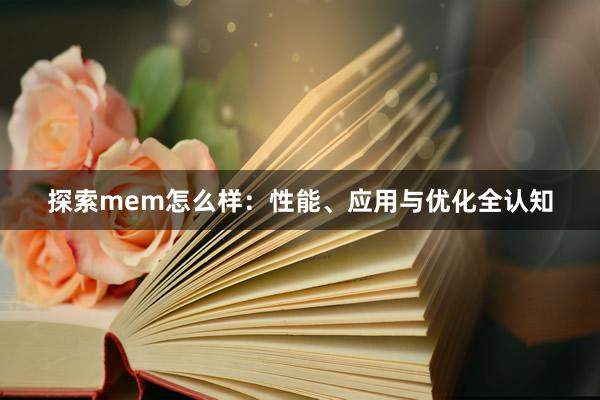 探索mem怎么样：性能、应用与优化全认知